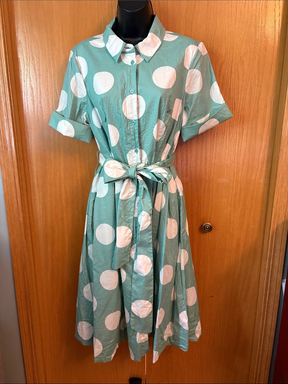 kate spade Polka Dot Belted Shirt Dress - Mint & White